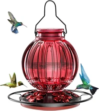 Glass Hummingbird Feeder for Outdoors Hanging, 26Oz Bird Nectar Feeder with Perc