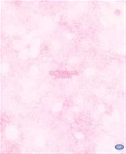 CLANNAD Blu-ray Box First Press Limited Edition Key Visual Arts 