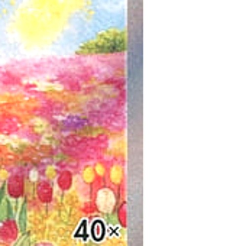Pokemon Beedrill V Holo SR 069/067 S10P Space Juggler Japanese Card - Picture 7 of 10