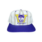 Washington Huskies NCAA Fan Cap, Hats