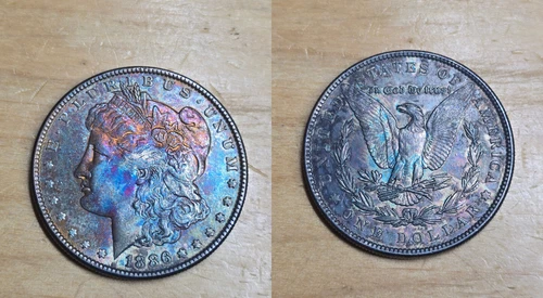 Toned Color 1886 $1 VF Morgan Dollar Proof One Of A Kind Beauty