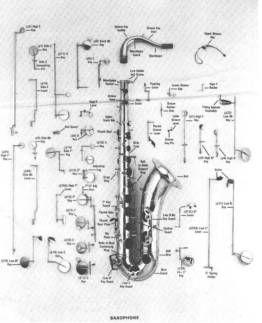 Antigua Winds WW-510 S Alto Saxophone Replacement Parts | eBay