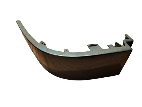 Rear light trim molding