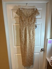Adrianna Papell AP1E209204 Metallic Embroidery Gown in gold size 8
