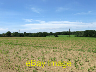 Foto 6x4 Old Meadow Der Name des Feldes nach Arlington's 1843 c2011