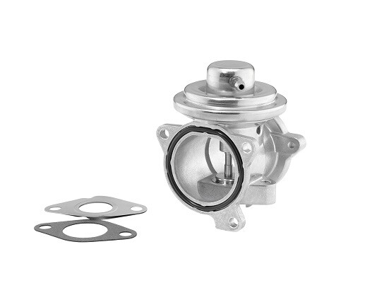 7271D WAHLER EGR Valve for AUDI,SEAT,SKODA,VW