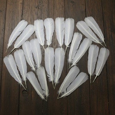 2 Pairs Of White Turkey Tail Feathers, Fly Tying Materials , Natural Feathers