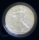 2020 W American Eagle Uncirculated Silver Dollar