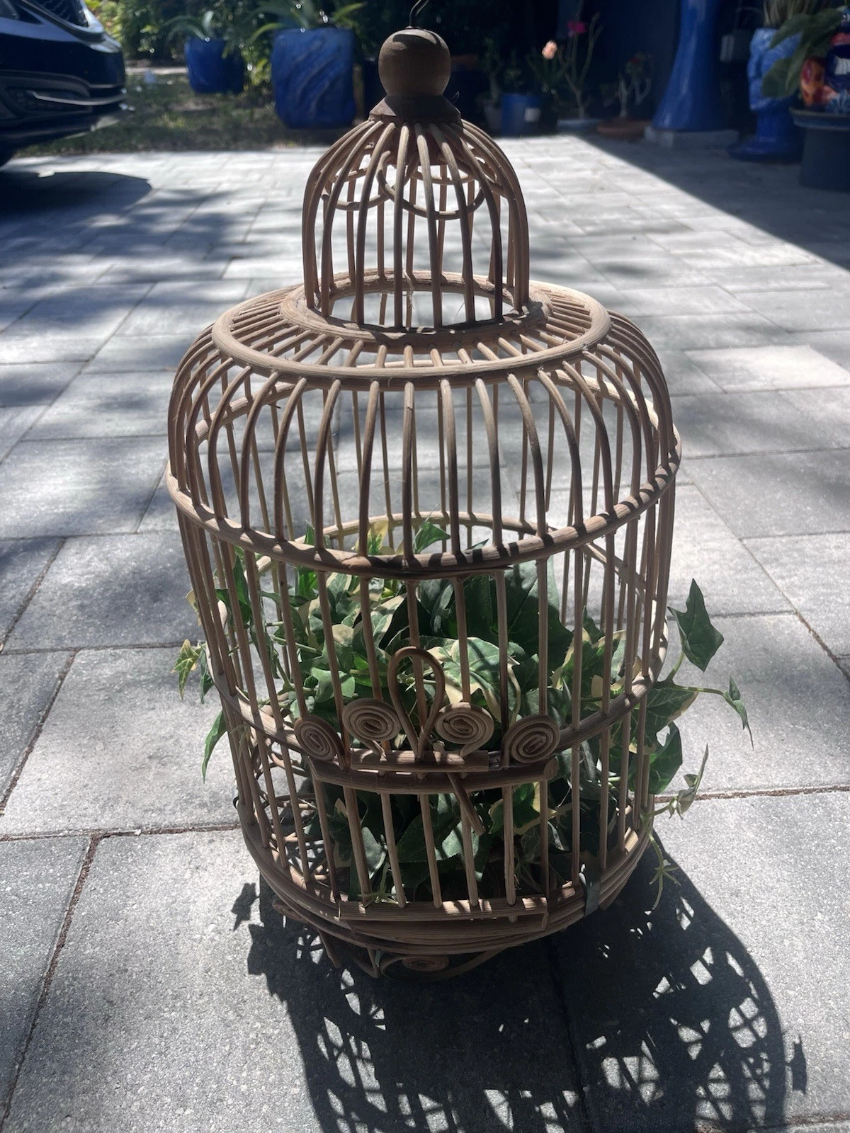 Vintage Boho Chic Rattan Bird Cage With Greenery
Opens in a new window or tab