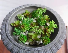 Artificial Miniature Grass Set of 18 Pcs Succulents Plants Landscape (M26)