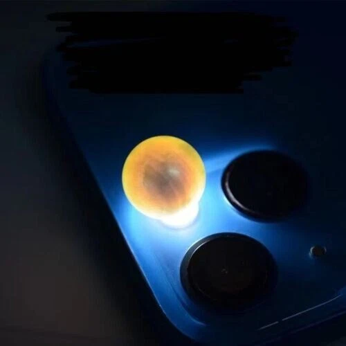 Pendientes tipo argolla colgantes/gotas Sea Shell 0,5 pulgadas de circonita cúbica placa de oro blanco plata Foto 3 de 3