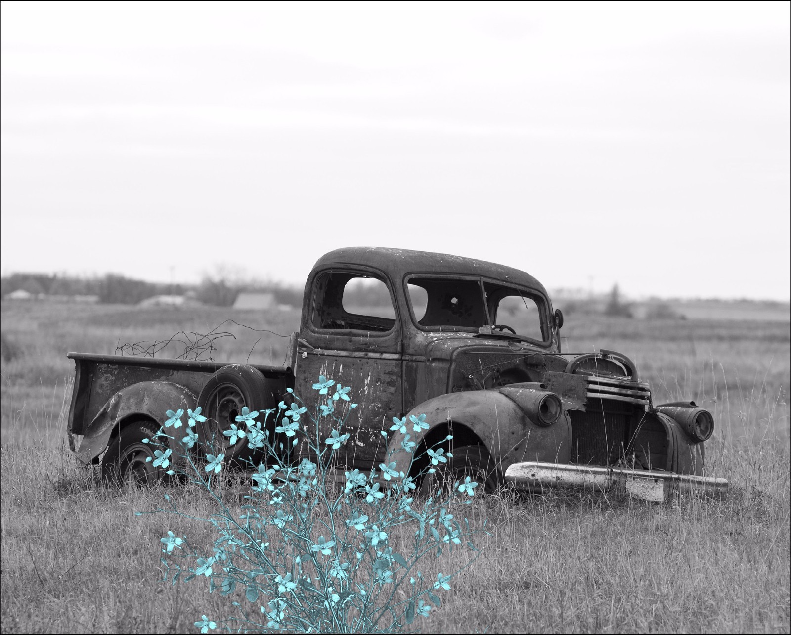 Teal Gray Wall Art Photo Print Vintage Truck Flowers Home Decor Bathroom Bedroom For Sale Online