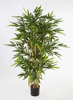Artplants Deko Bambus Tarik, EchtstäMme, 210Cm