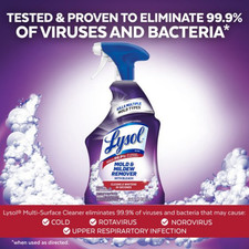 Lysol Mold & Mildew Remover Spray 32oz Bathroom Cleaner Disinfectant Bleach.. 0.28 per fl oz