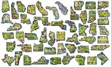 Artwood U.S. State Magnet Set, 51-Piece Collection by Classic Magnets