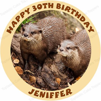 Personalised Otters Otter Family Edible Icing Birthday Party Cake Topper Ebay