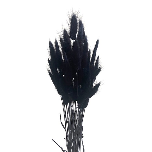 50pcs Nature Bunny Rabbit Tail Grass Dried Flower Bouquet Wedding Party Decor - Picture 20 of 44