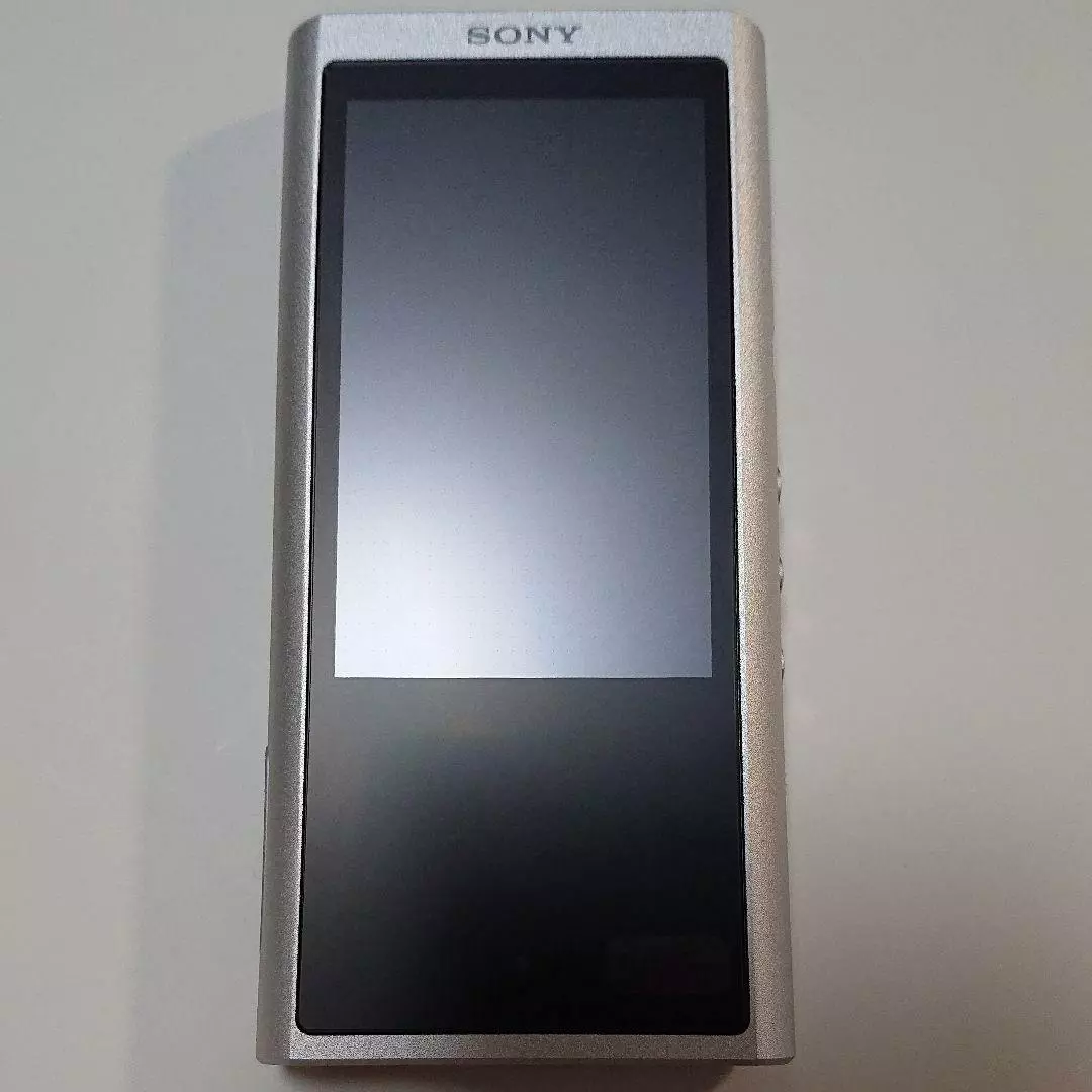 SONY ウォークマン NW-ZX300 シルバー-