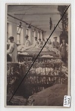 BRADFORD  Yorkshire Said to be Wool Sorting at Listers' Mill  RP