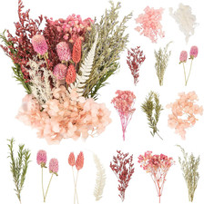 LAUMOE Getrocknete Blumen,Trockenblumen Zum Basteln Mini Trockenblumen Set F&uuml;r D