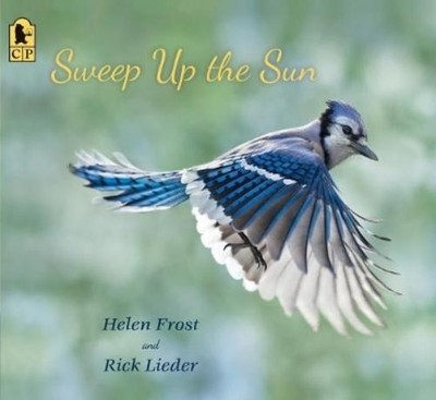 Helen Frost Sweep Up the Sun (Paperback) Step Gently, Look Closely (UK IMPORT)