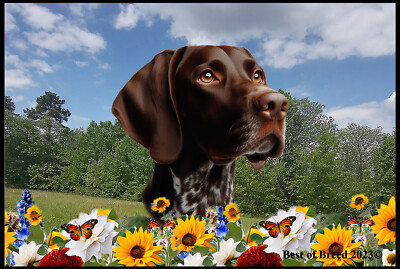German Shorthair Pointer Summer Flowers Door Mat