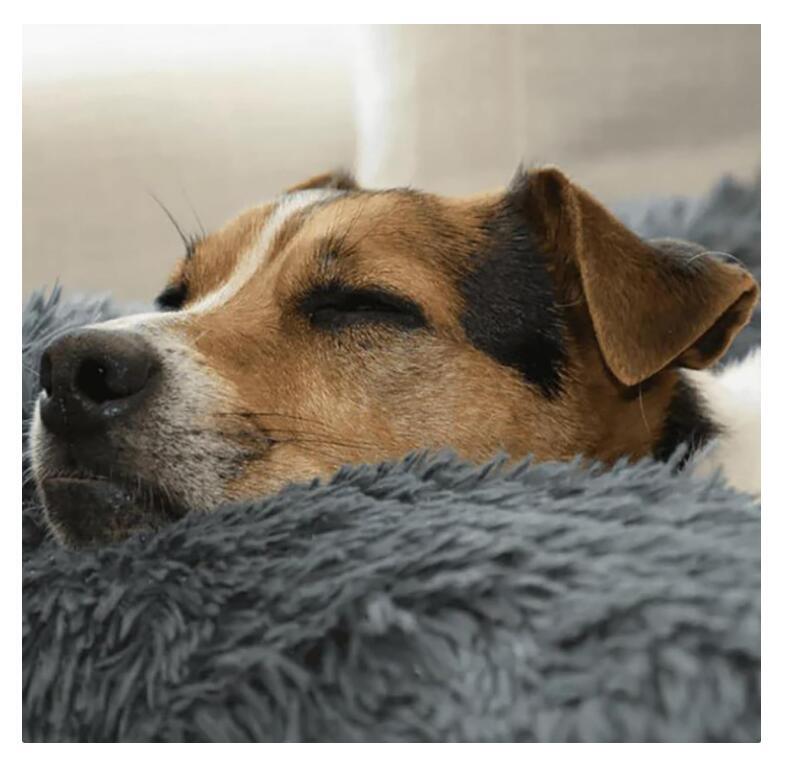 Pelsbarn Protective Dog Bed for Car,Calming Dog Bed for Car,Washable