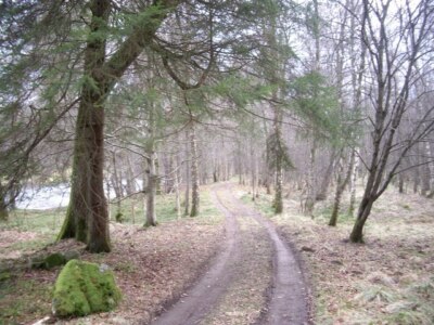 Foto 6x4 Riverside Track to Woodend Bridge of Canny c2009