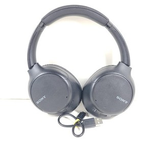 Sony Wh Ch 710 N | eBay