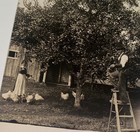 Rare Antique American Farm Picking Fruit Feeding Chickens Photo Postcard! RPPC! — photo 4