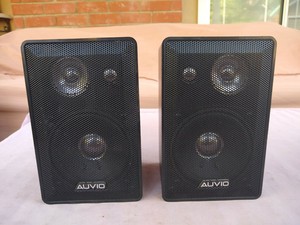 auvio outdoor speakers
