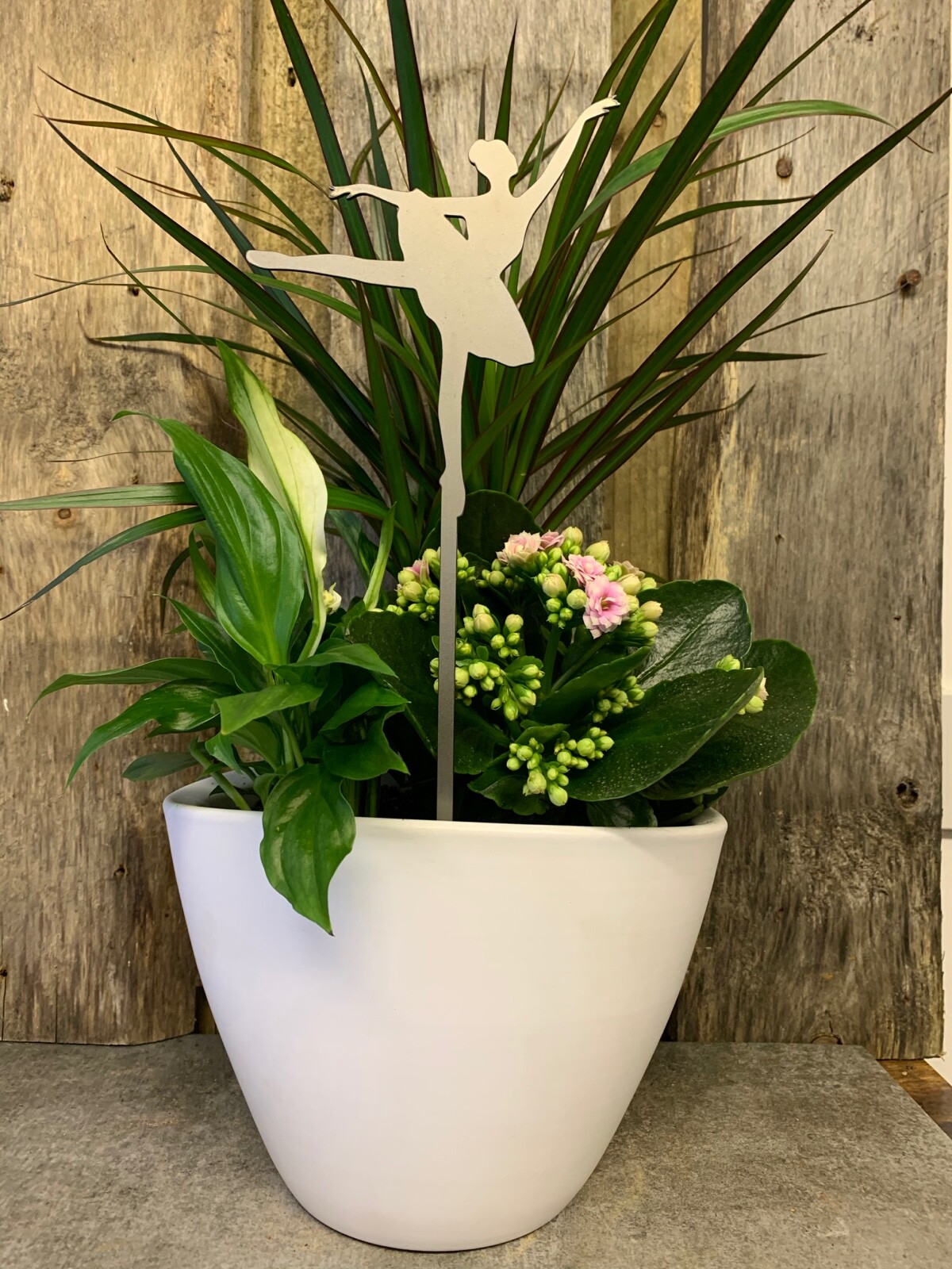 Foto 1 di 3