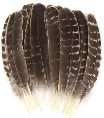15Pcs Natural Turkey Feather, 10-11 Inches Wild Turkey Feathers for Craft Costum