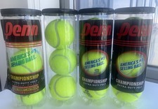 12 LIGHTLY USED CHAMPIONSHIP TENNIS BALLS Clean Dogs Walkers Classroom Crafts