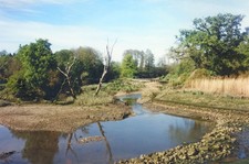 Photo 6x4 Low Tide at Beeleigh Maldon The tidal river Chelmer below Beele c1996