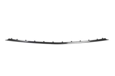 BLIC 6502-07-35289141P Trim/Protective Strip, bumper for MERCEDES-BENZ