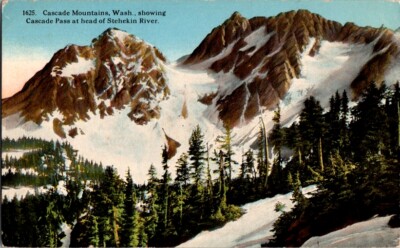 Vintage Postcard Cascade Mountains Head of Stehekin River WA Washington    K-837