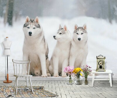 3D Snow White Wolf 21534NA Wallpaper Wall Murals Removable Wallpaper Fay