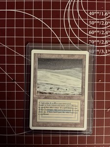 Magic The Gathering Tundra | eBay