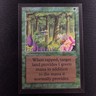 MTG 1X Wild Growth X1 Collectors' Edition (CE) Magic - SP/NM