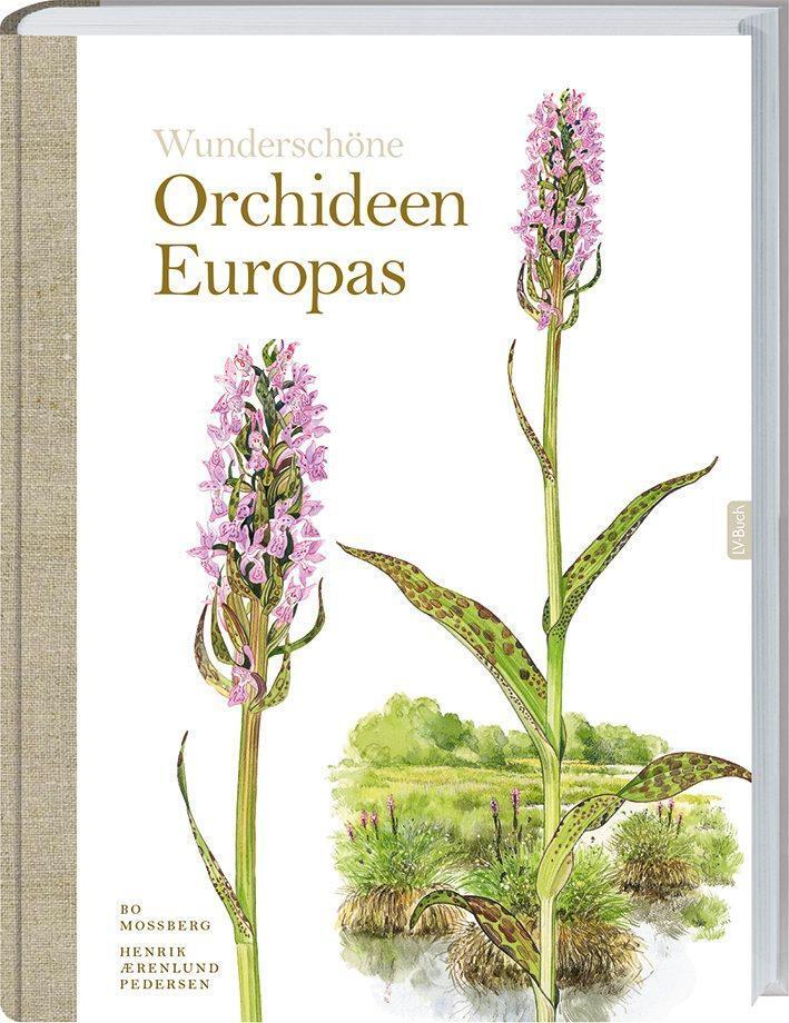 Wunderschöne Orchideen Europas, Bo Mossberg