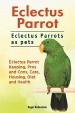Eclectus Parrot. Eclectus Parrots as Pets. Eclectus Parrot Keeping, Pros and ...