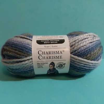 CHARISMA LOOPS & THREADS BULKY YARN Variegated Cornflower 109 YARDS Brand New 