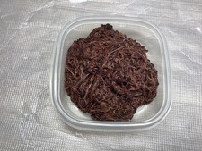 1 Lbs. Red wiggler Composting worms