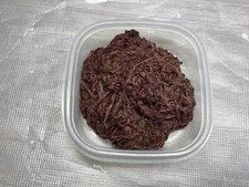 1 Lbs. Red wiggler Composting worms