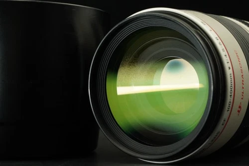 Canon EF 100-400mm f/4.5-5.6 L IS II USM AF Zoom Lens #12227