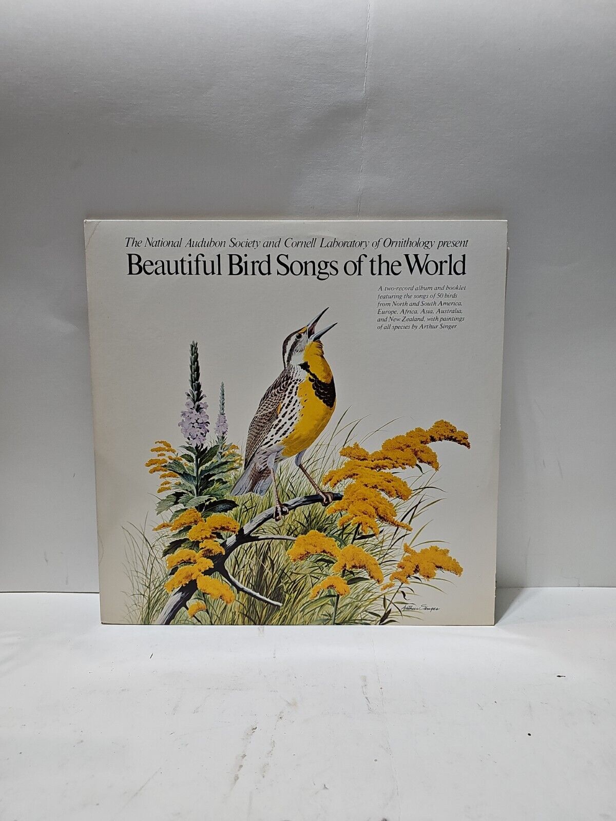 BEAUTIFUL BIRD SONGS OF THE WORLD Audubon Society 2xLP Vinyl + Booklet nm/nm