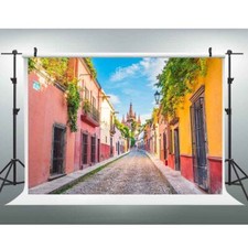 7x5 FT Mexico Streets Photography Backdrop Alley Pathway San Miguel de Allende