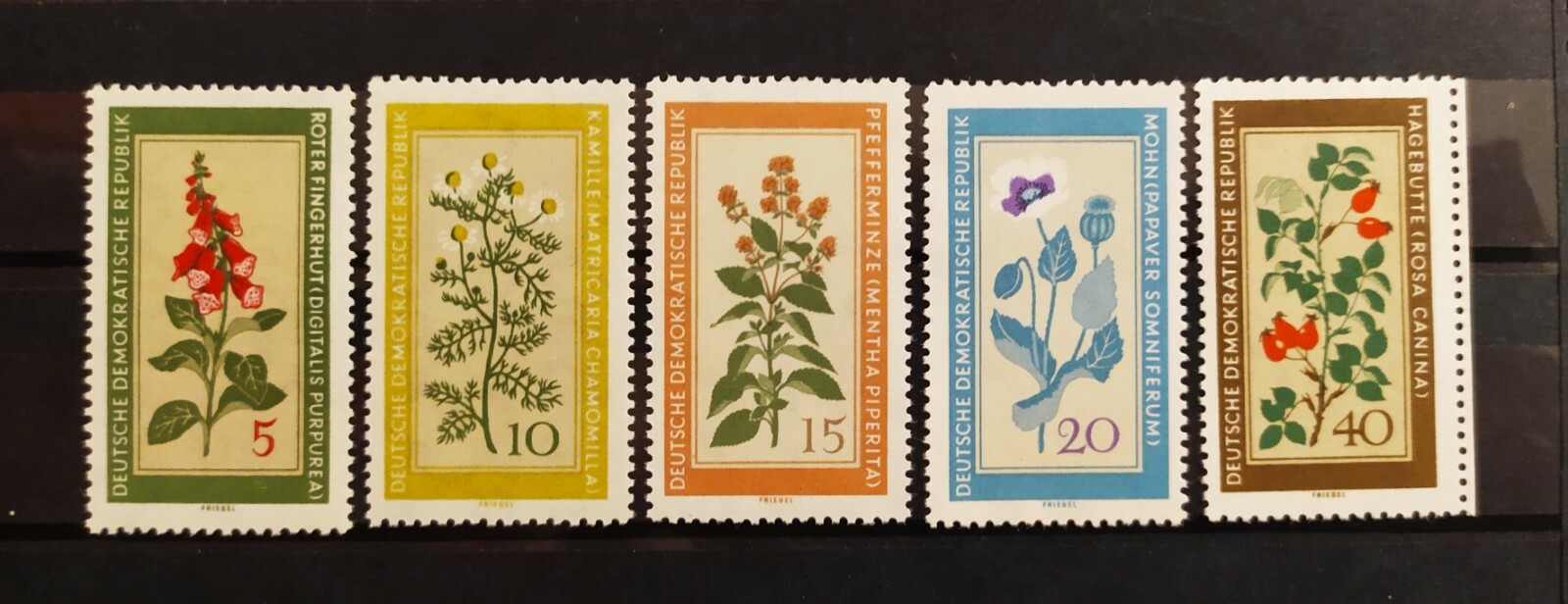 Foto 1 di 2