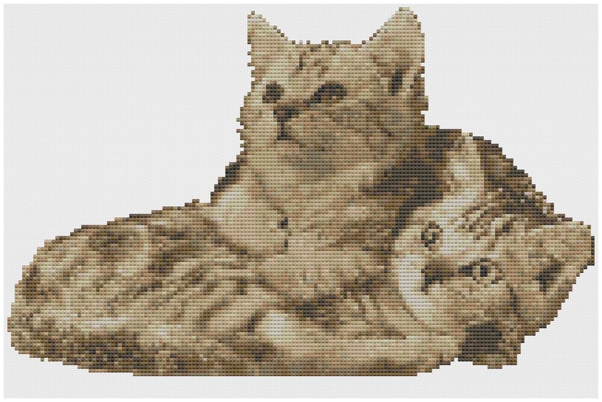 Design Works Crafts Kit Punto Croce Contato – Gattino Psichedelico, Dimensioni Finali 28x35,6 Cm, Su Tela Aida 14 Count